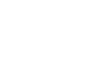 Anzed Logo footer